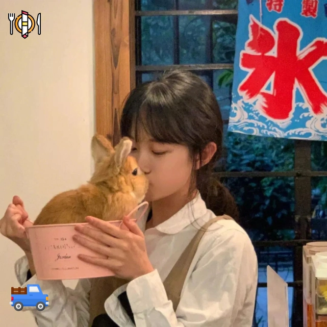 木棉